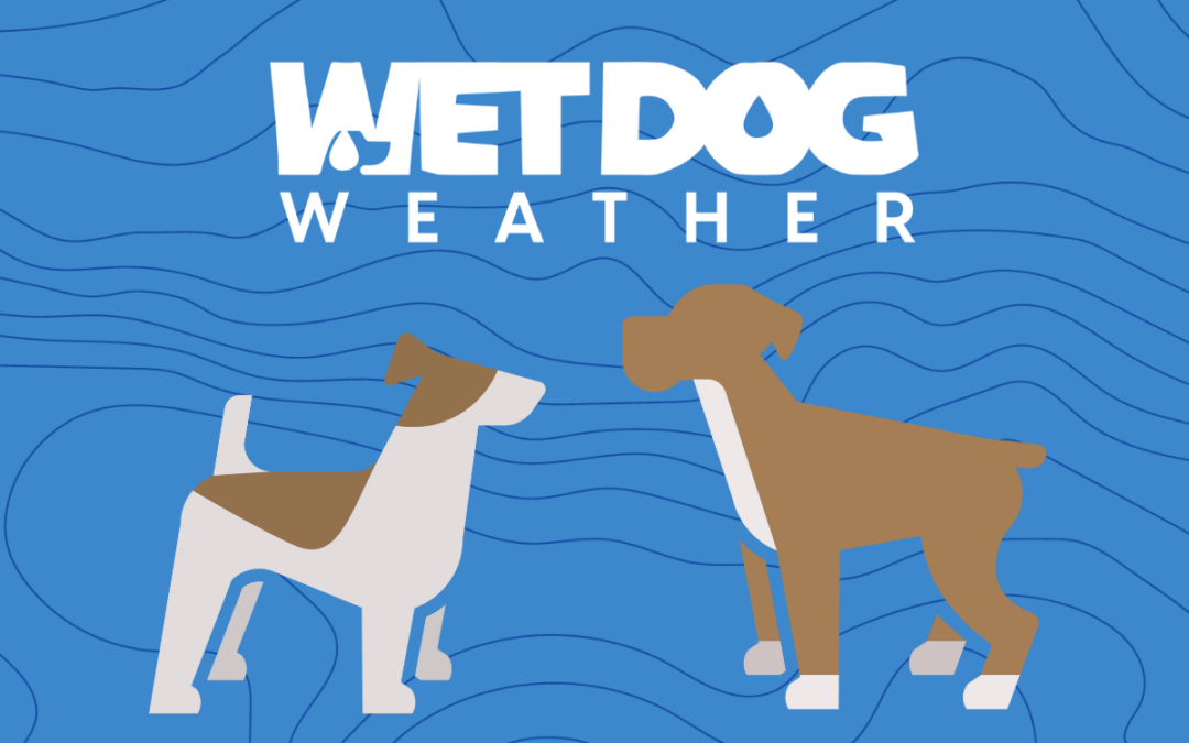Find Out How We Provide You With Weather Visualization