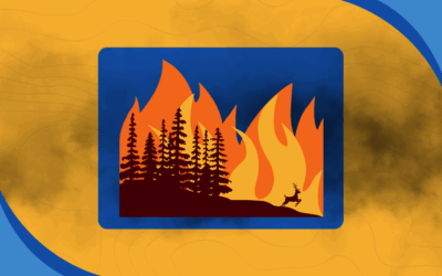 Why Smoke Transport Modeling Is Critical During Fire Season