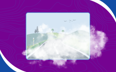 When Visibility Matters, Fog Visualization Makes the Difference